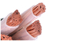 5 Cores CU PVC XLPE كبل الطاقة IEC Standard ISO KEMA معتمد 600 / 1000V المزود