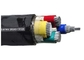 KEMA TUV شهادة 600 / 1000V PVC الكابلات المعزولة 4 الأساسية PVC الكابلات الكهربائية المزود