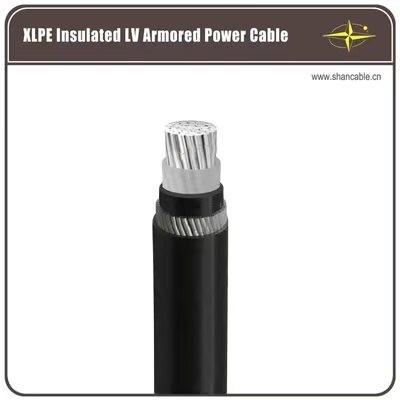 كابل الطاقة المعزول XLPE 2-5 النواة معيار IEC 0.6/1kV الجهد المزود