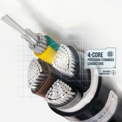 Waterproof Moisture Resistant PVC Insulated Cable 0.6/1kV 2 Core 2x4mm2 Outdoor Wet Area مزود