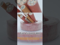 0.6 / 1kV CU / XLPE LOZH كبل مقاوم للحريق داخلي / خارجي